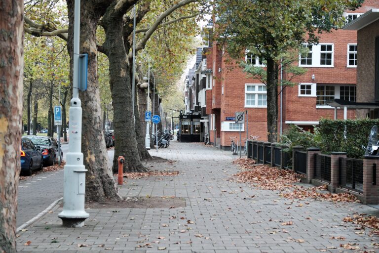 covid